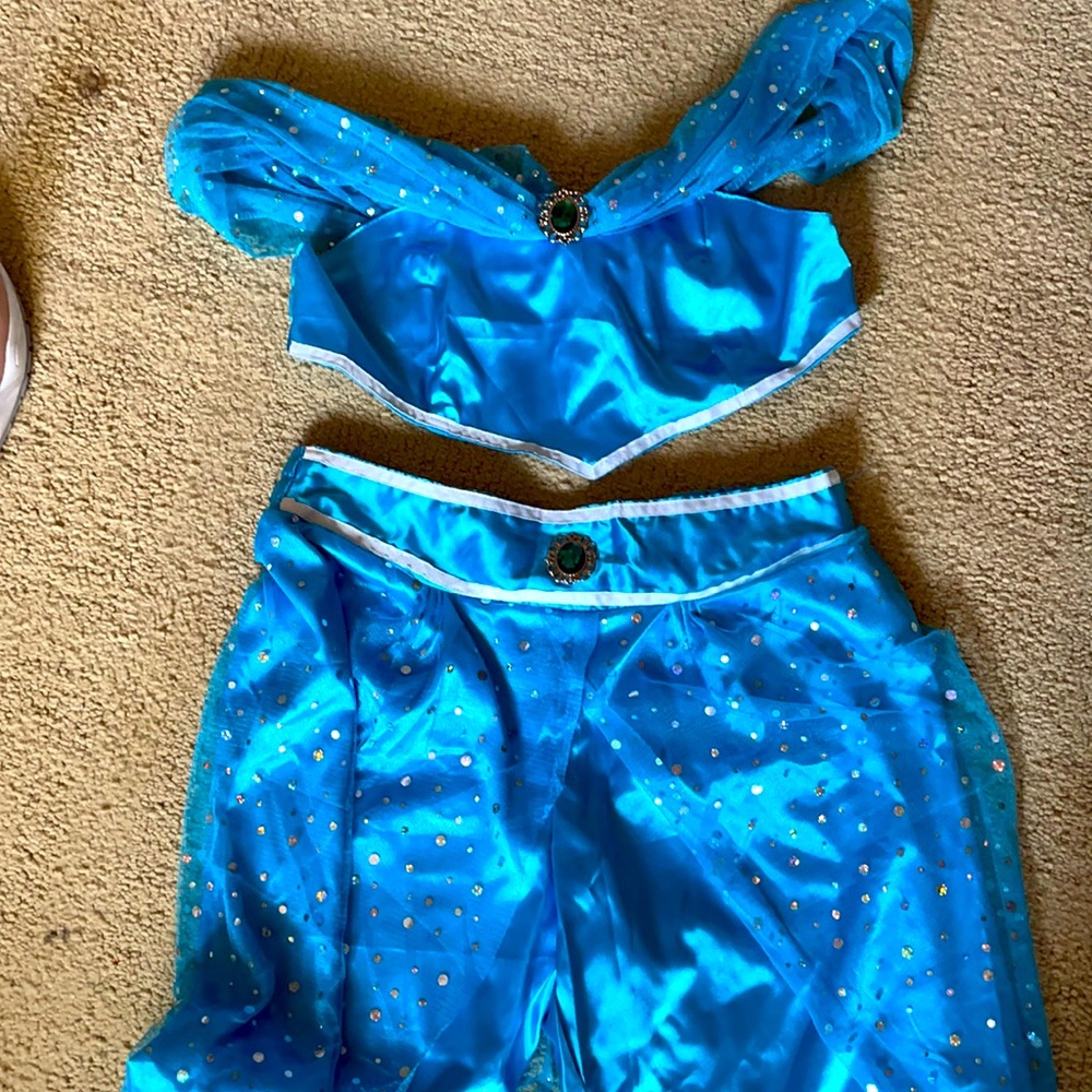 Princess Jazmine costume